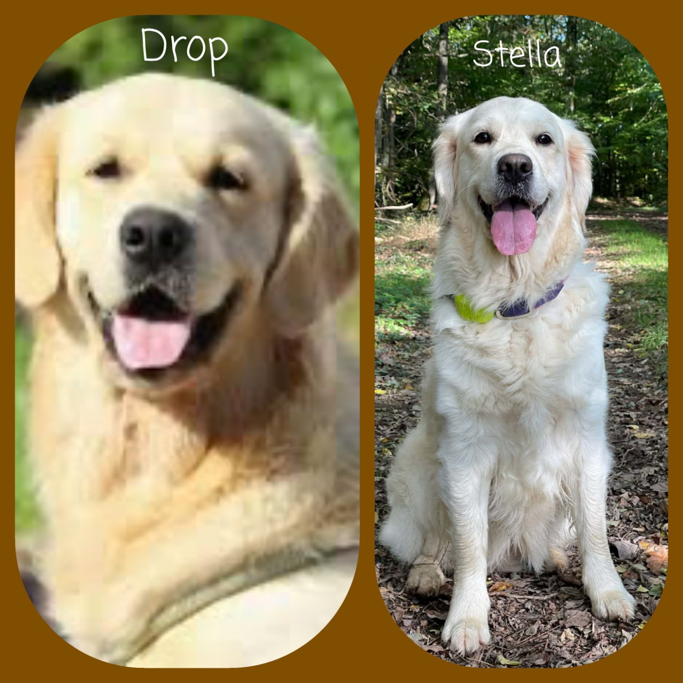 Futur Mariage prévu début du printemps 2026